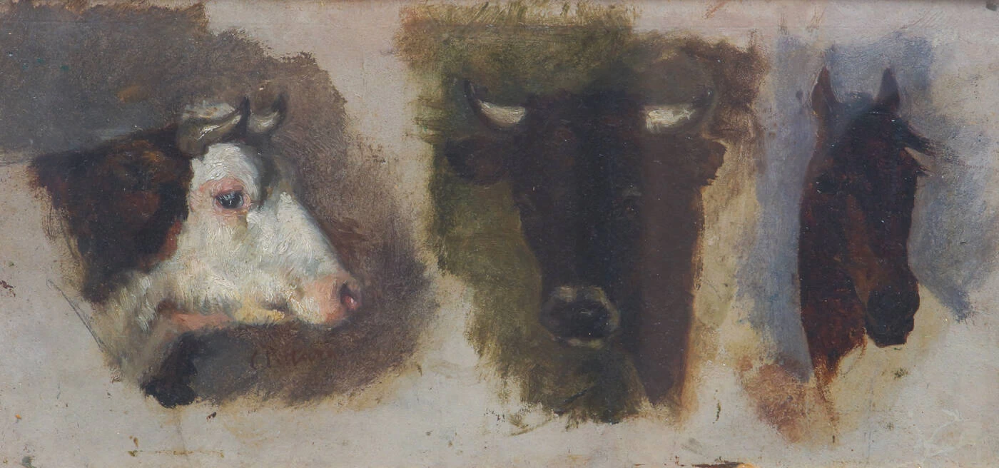 Studio di teste di animali